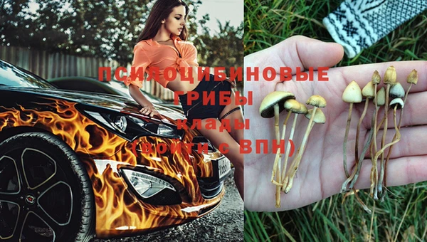 трава Надым