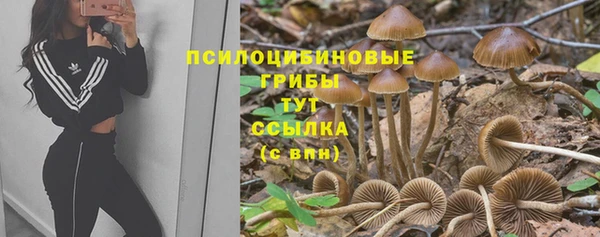 бутират Наволоки